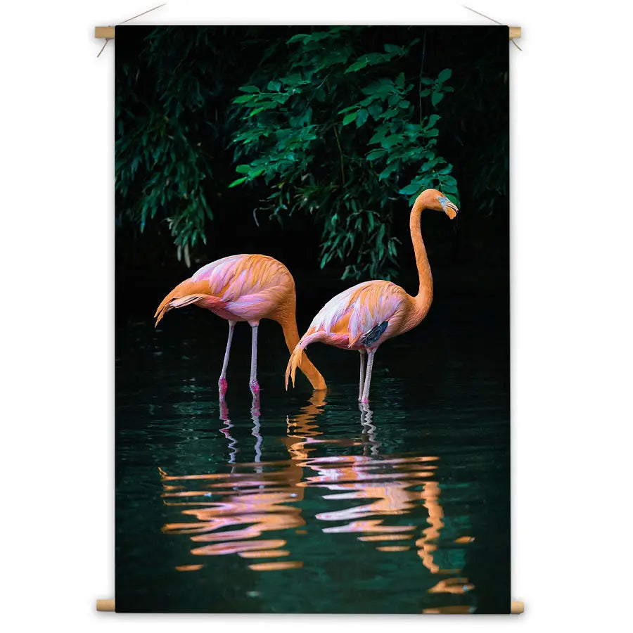 Zwei Flamingos