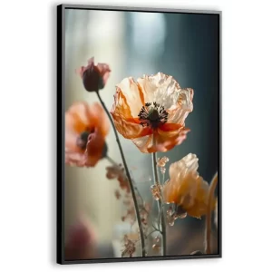 Papaver in het ochtendlicht