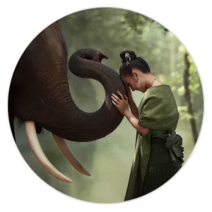 Harmonie met olifant