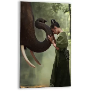 Harmonie met olifant