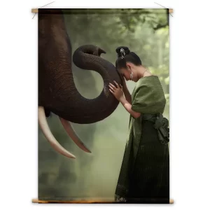 Harmonie met olifant