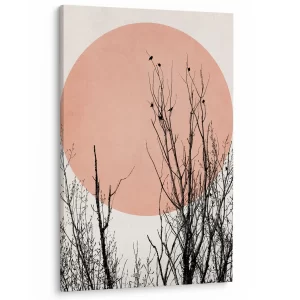 Boomtoppen in de zon